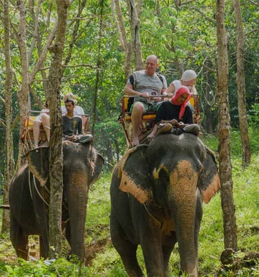 Masked Image of traveller doing their elephant safari in jim corbett park